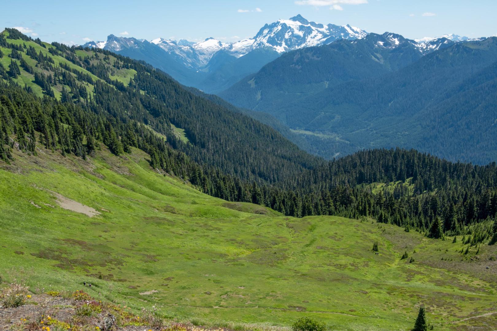 An image depicting the trail Canyon Ridge Trail and its surrounding area.