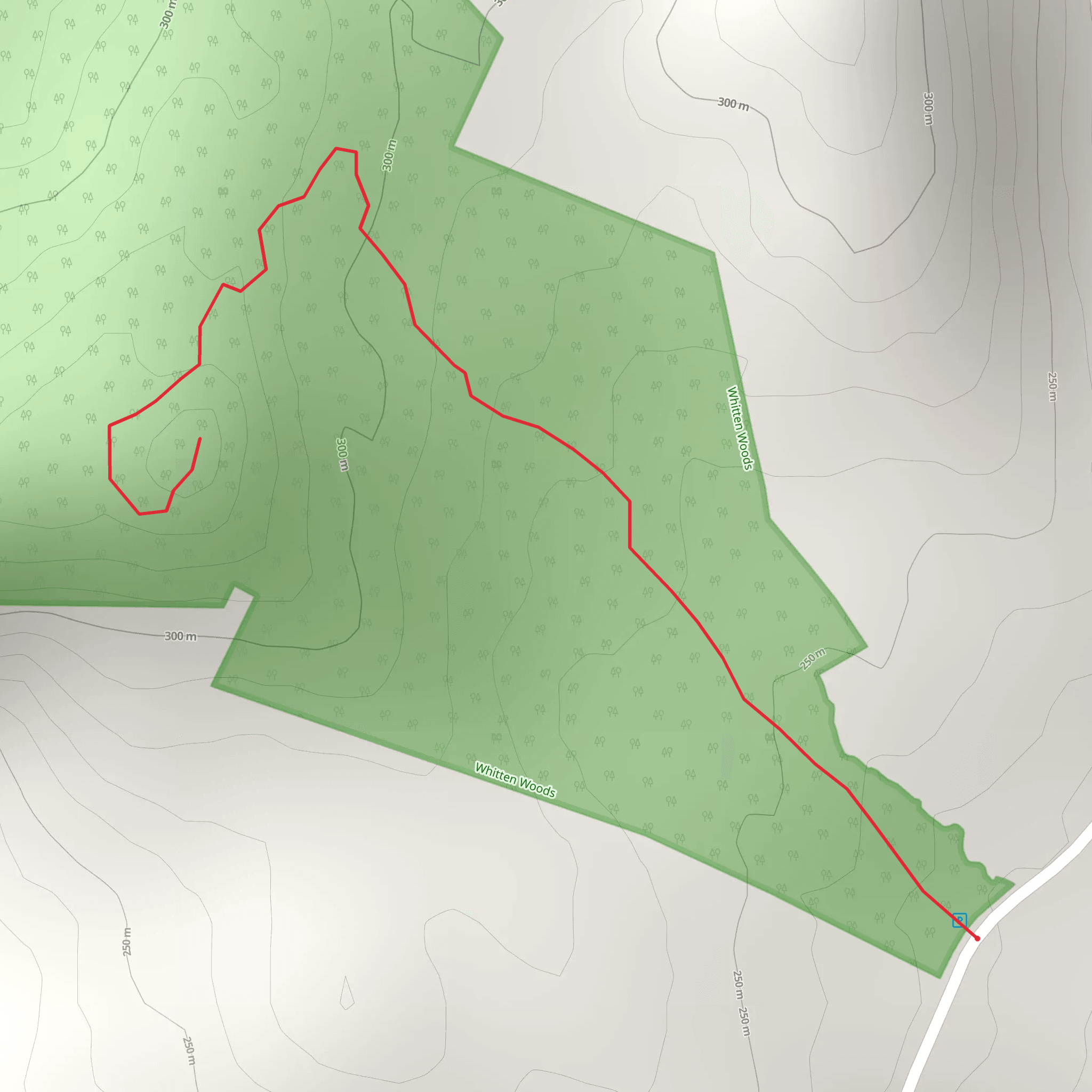 Highland Street North Hill Trail mobile static map