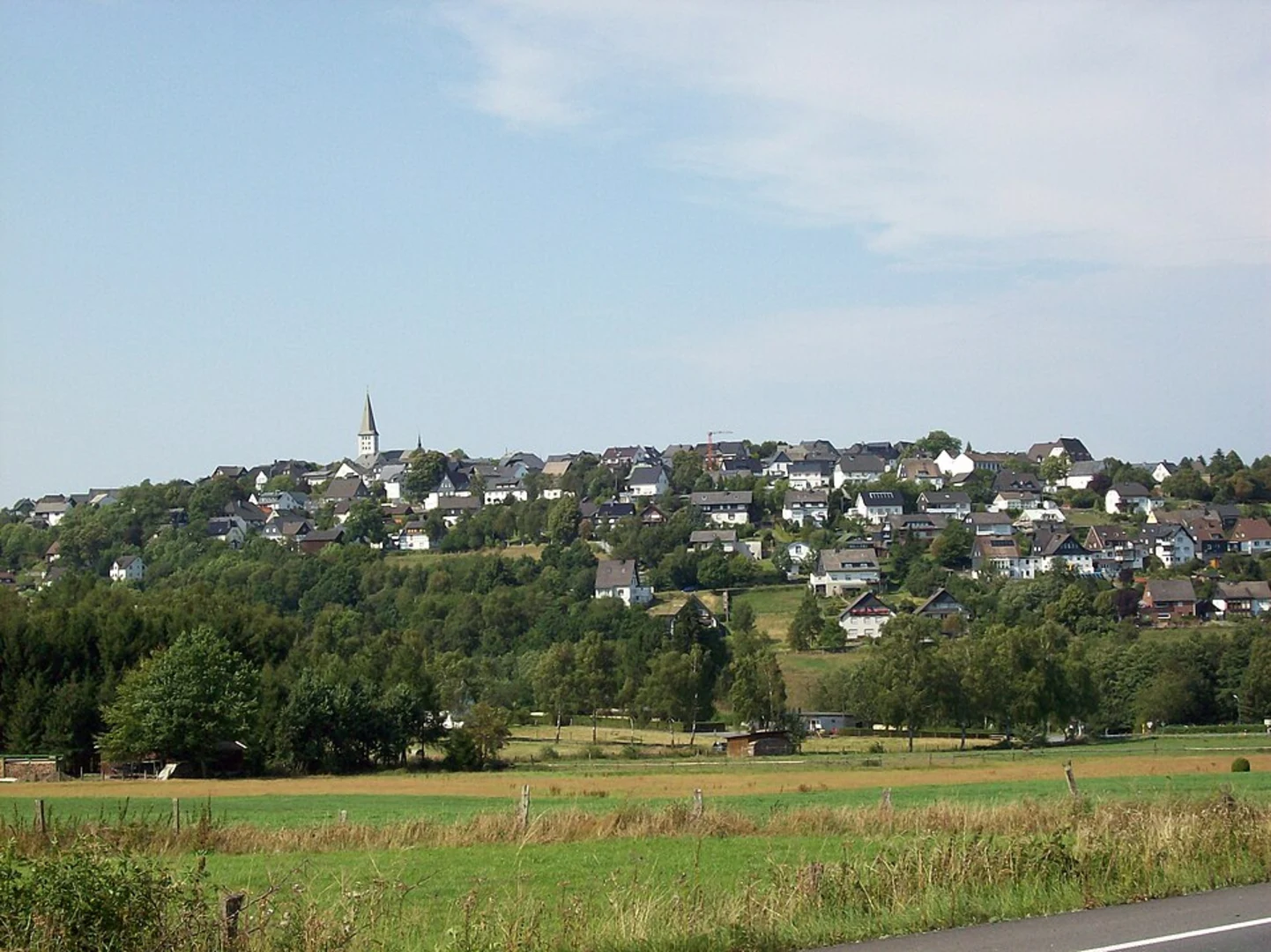 An image depicting the trail Aussichtsturm Hirschberg and Pfahl Loop - Taxöldern and its surrounding area.