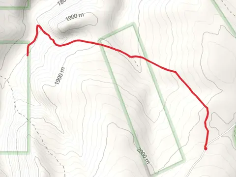Thorsen Pond Trail