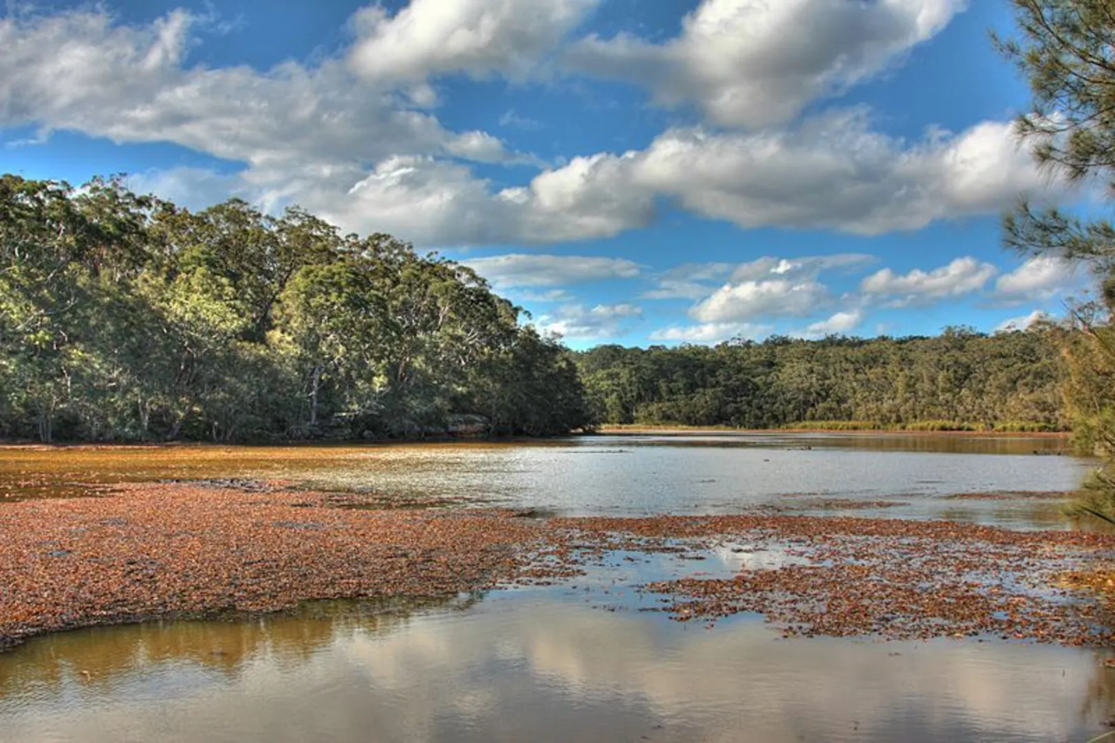 An image depicting the trail Yeramba Lagoon Loop Track and its surrounding area.
