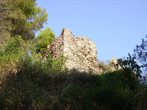 Strut of l'Aljub - Coll de Barres PR CV 352