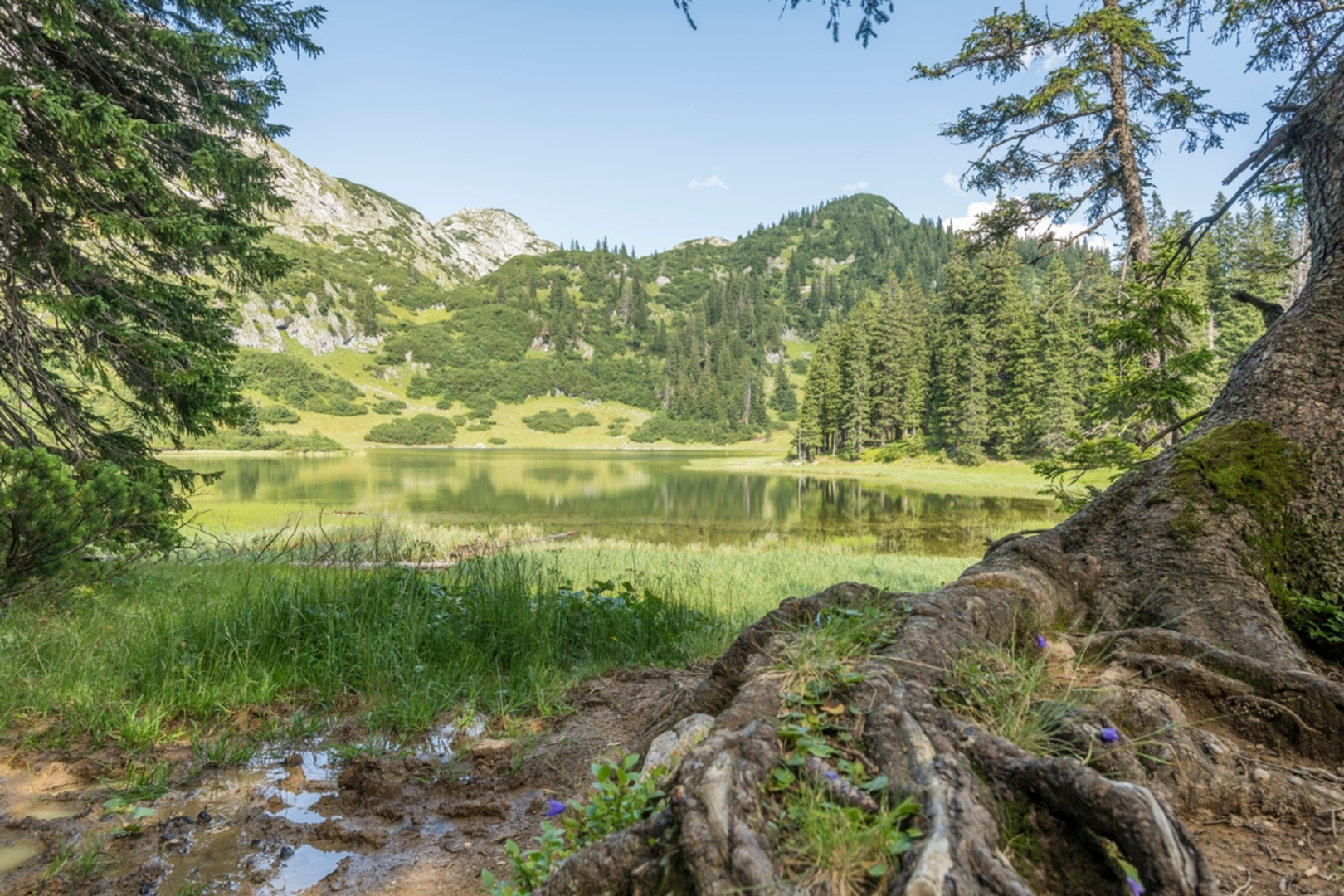 An image depicting the trail Bodenbauer to Sackwiesensee and its surrounding area.