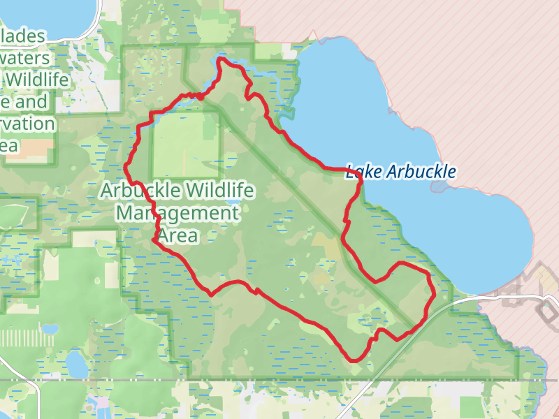 School Bus Road and Lake Wales Ridge State Forest Loop Trail