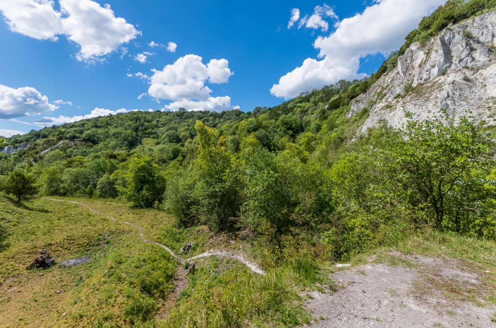An image depicting the trail Brockham Hills and Pilgrims Way and its surrounding area.