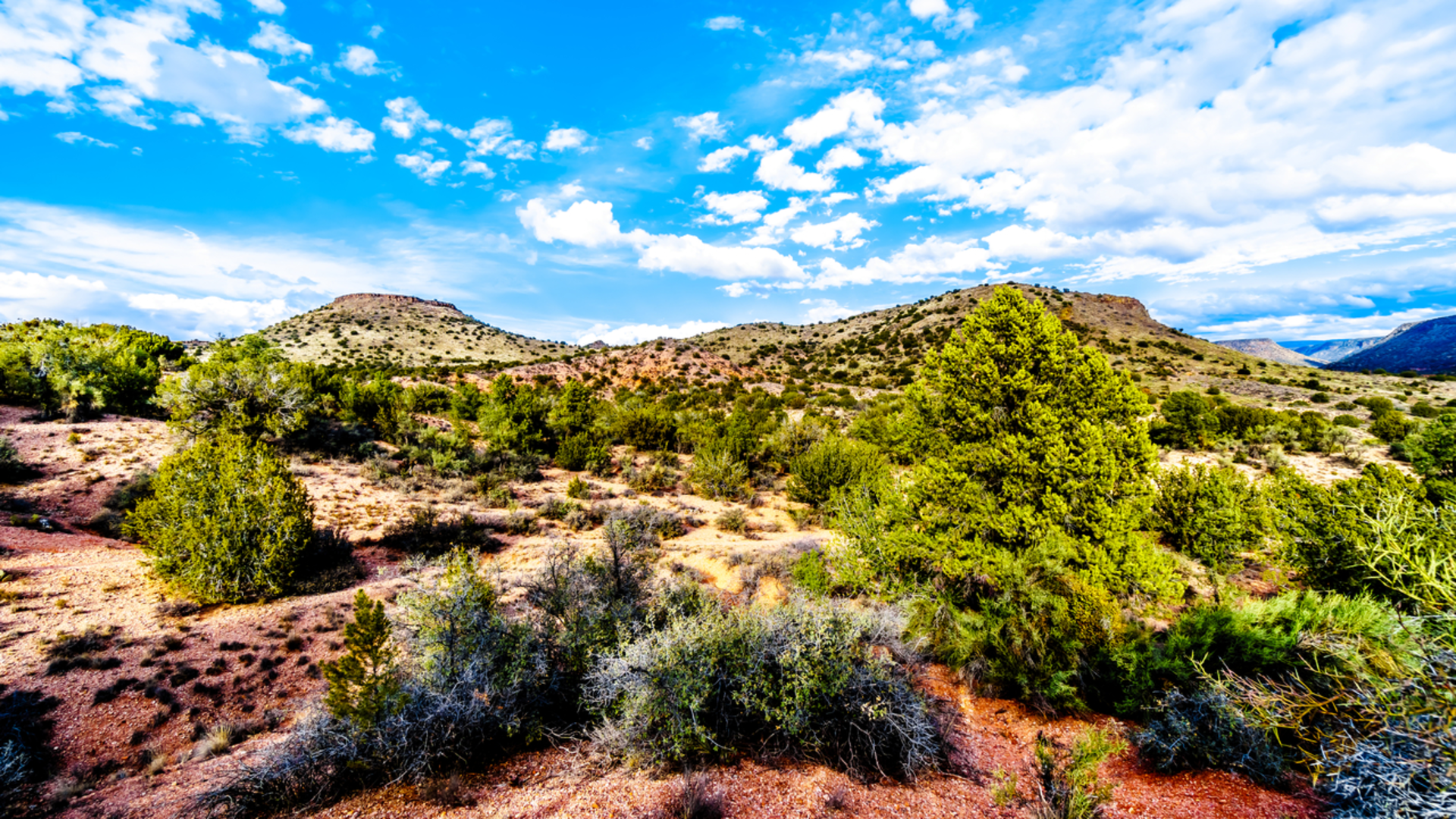 An image depicting the trail Woods Canyon Trail and its surrounding area.