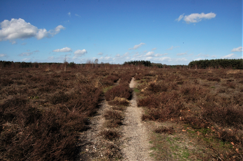 Schaijsche, Steenbergen and Slabroeksche Loop