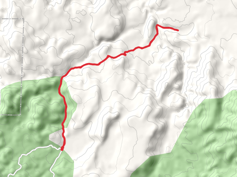 Lousetown Creek and Caldwell Ravine