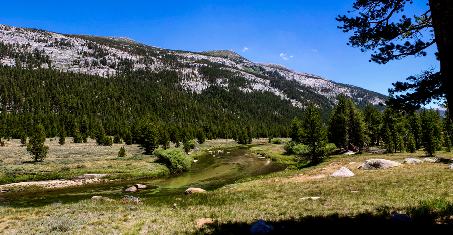 Lyell Canyon Trail