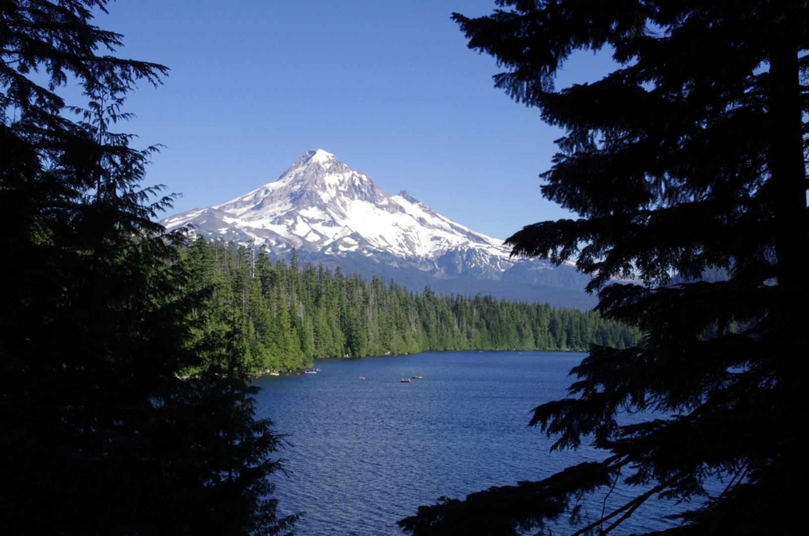An image depicting the trail Lake Branch Cascades Trail and its surrounding area.