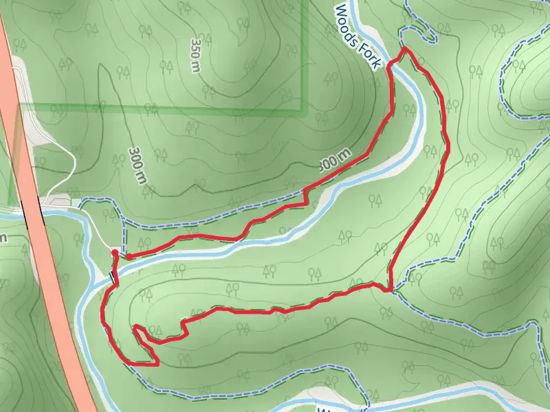 Busiek Loop