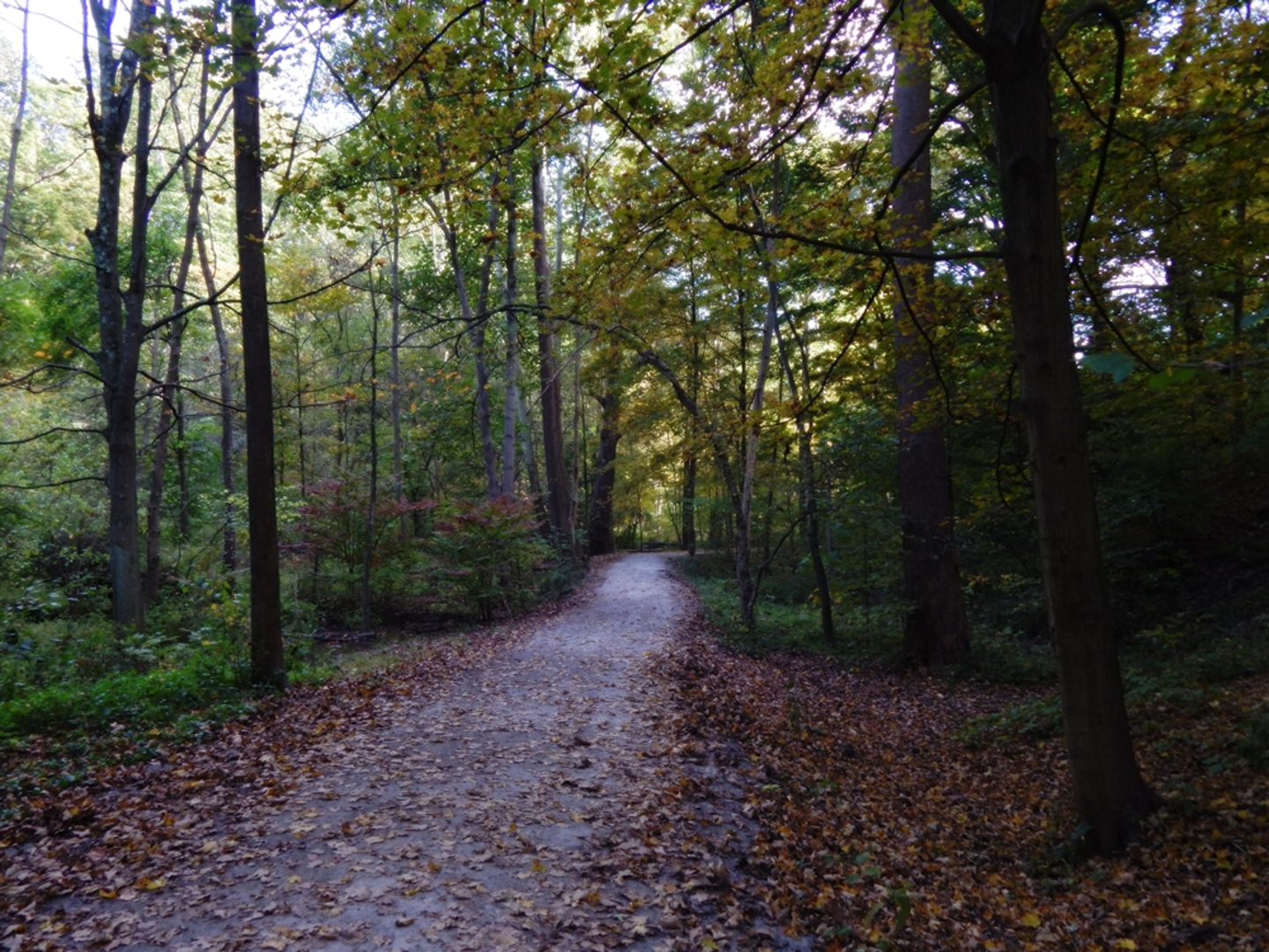 An image depicting the trail Heath and Five Mile Loop Trail and its surrounding area.