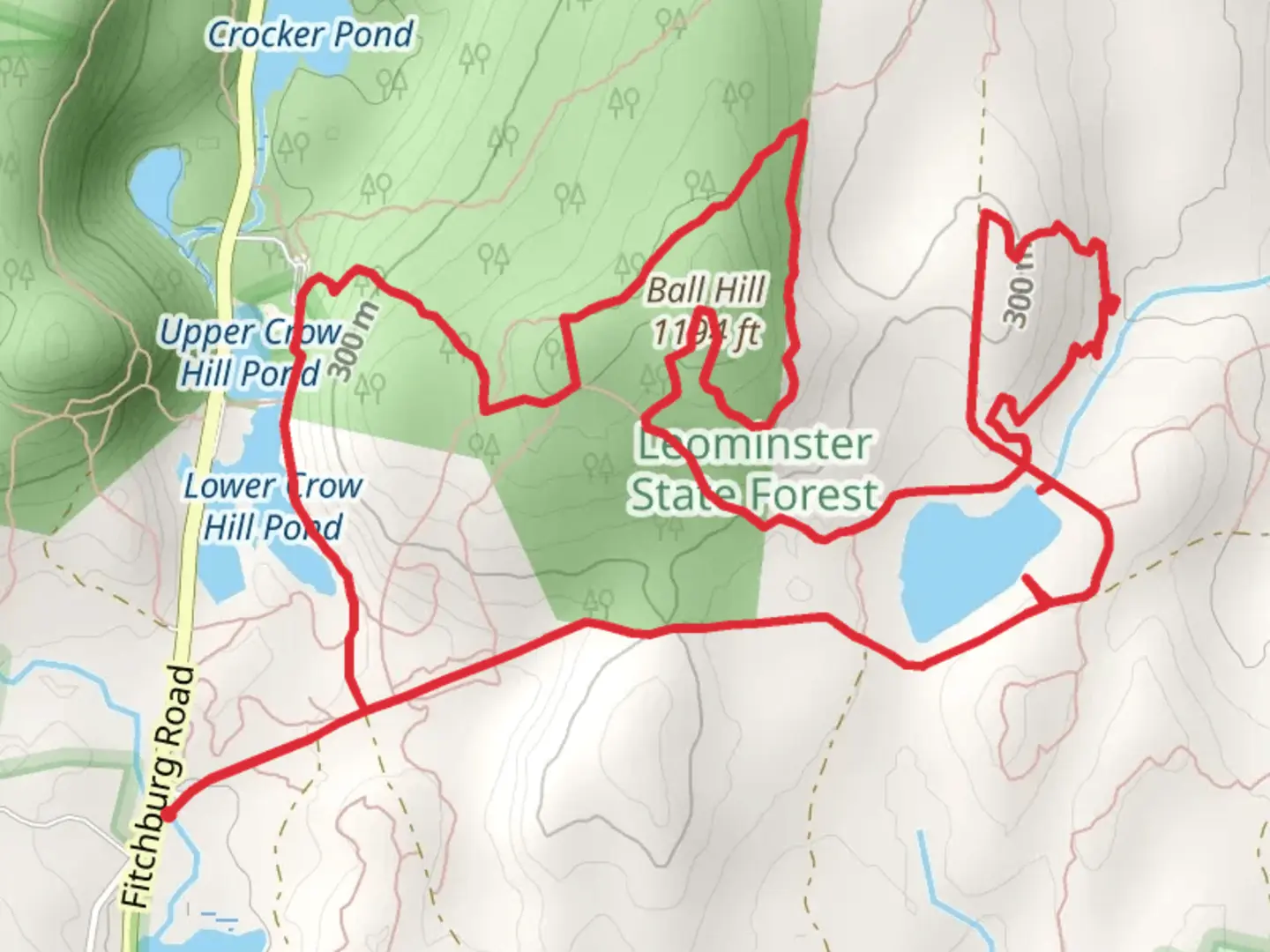 An image depicting the trail Ball Hill and Rocky Pond Loop and its surrounding area.