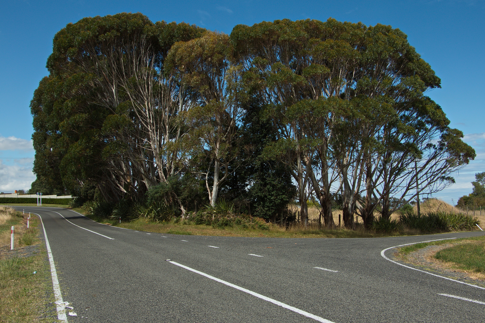 An image depicting the trail Lake Westmere Loop and its surrounding area.