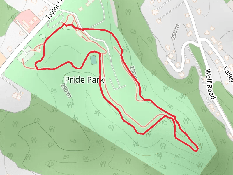 Pride Park Loop