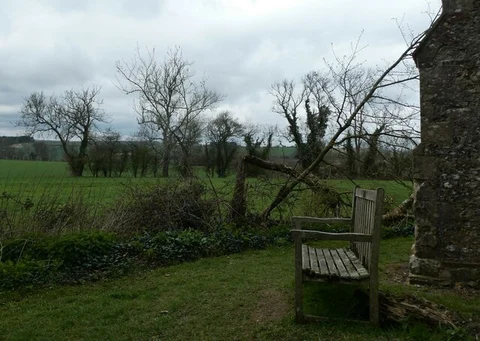 Up Marden and Warren Copse Loop