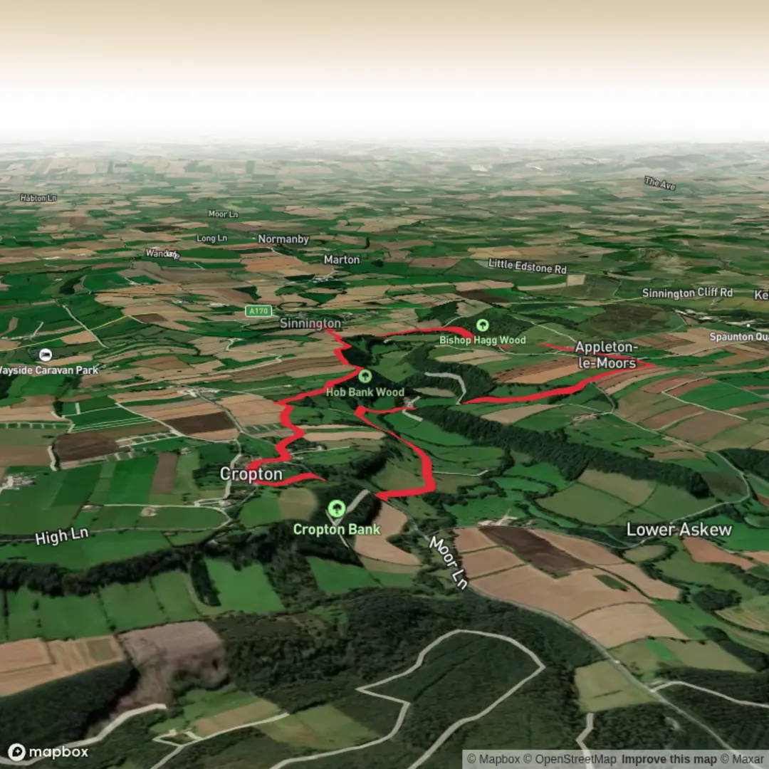 An image depicting the trail Appleton-le-Moors Loop and its surrounding area.