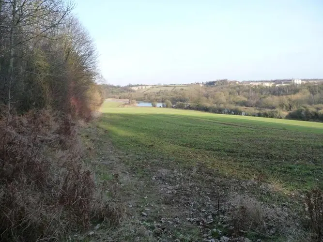 Sprotbrough Falls Loop