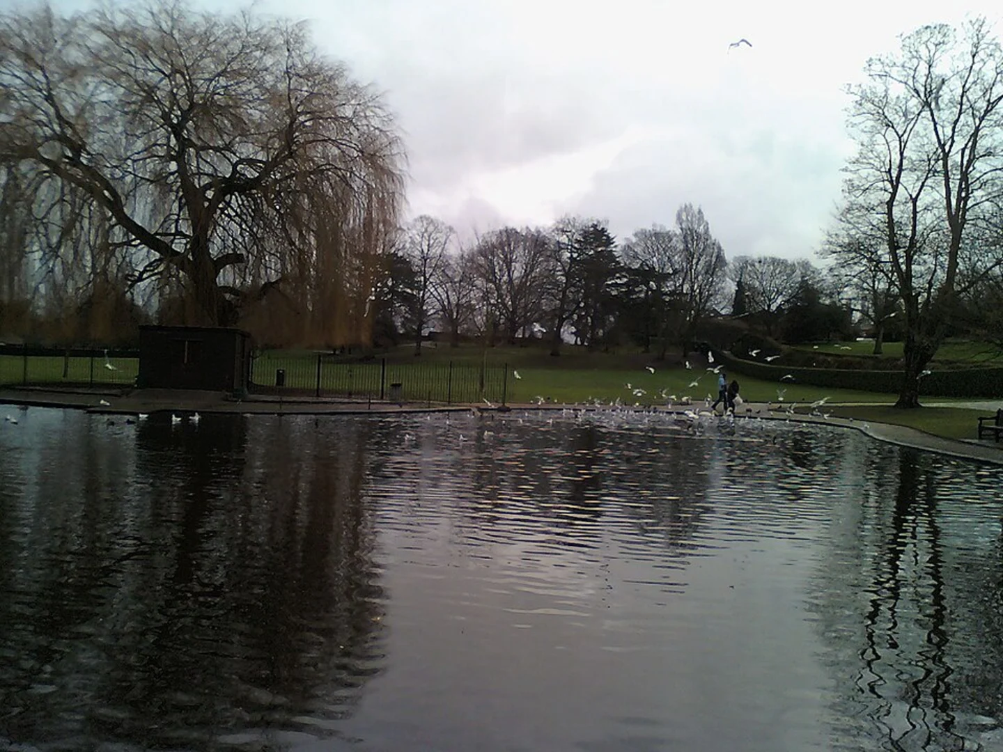 An image depicting the trail Castle Park Loop - Colchester Town and its surrounding area.
