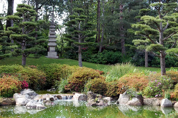 Loki-Schmidt Garten, Japanischer Garten and Steingarten Loop