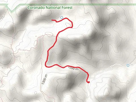 Upper Red Spring Trail