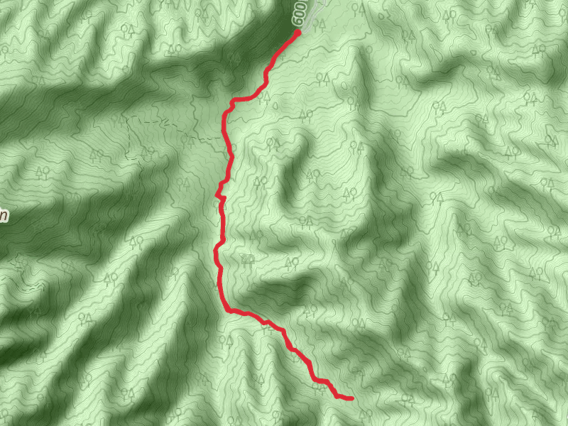 Porters Flat Campground via Porters Creek Trail