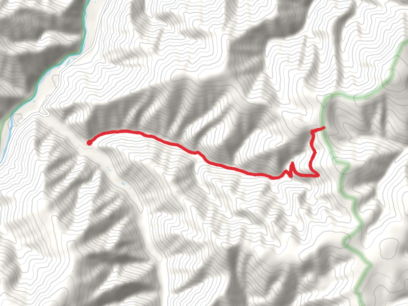 Grizzly Creek Trail