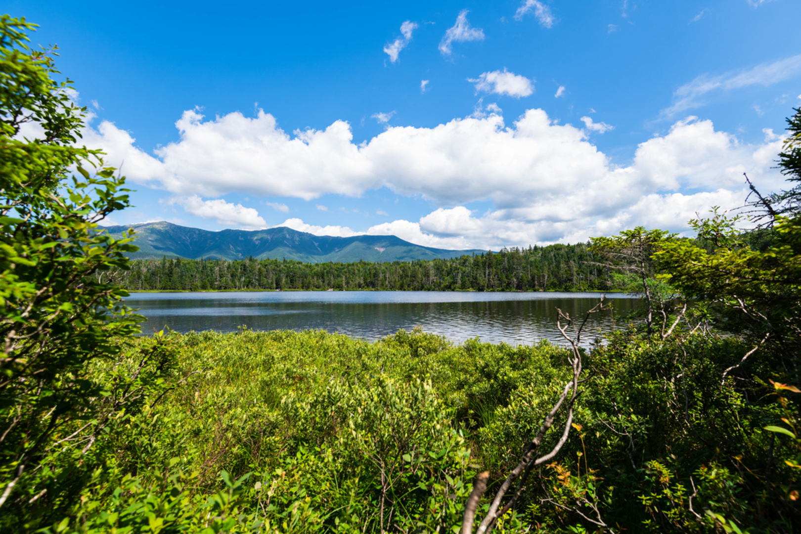 An image depicting the trail Lonesome Lake Loop via Cascade Brook Trail and its surrounding area.