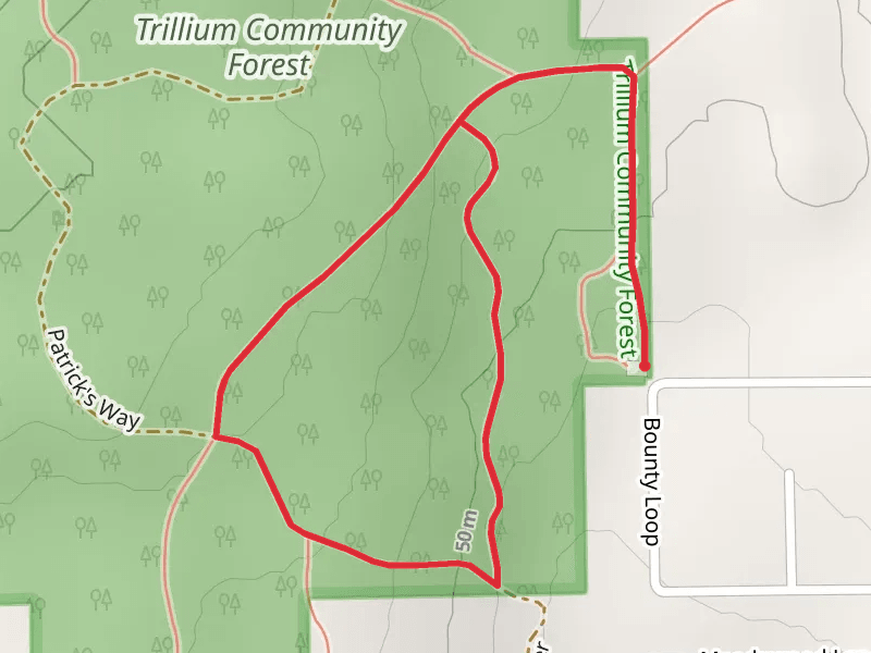 Trillium Community Forest Short Loop