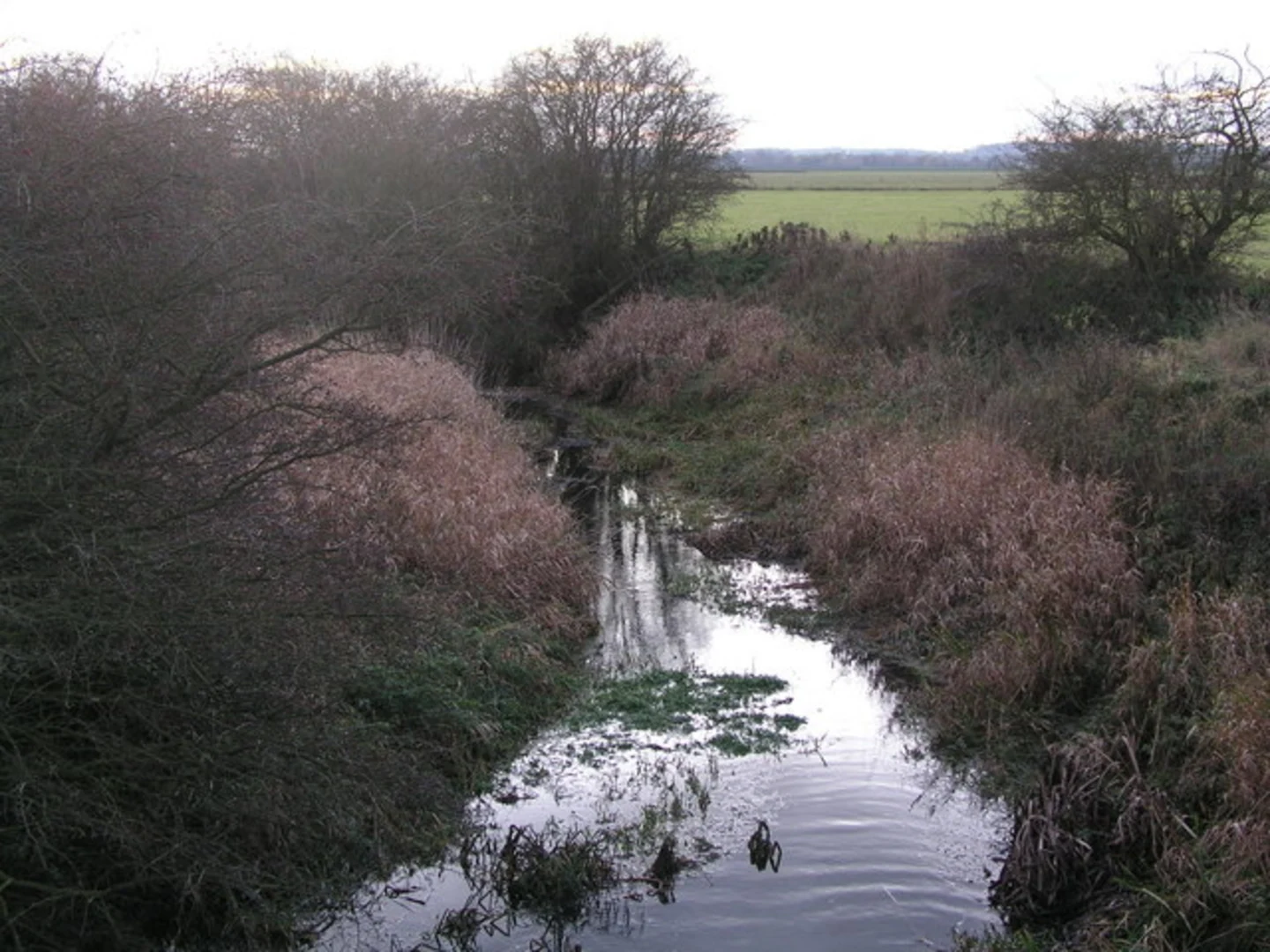 An image depicting the trail Lake in Girton Country Park and its surrounding area.