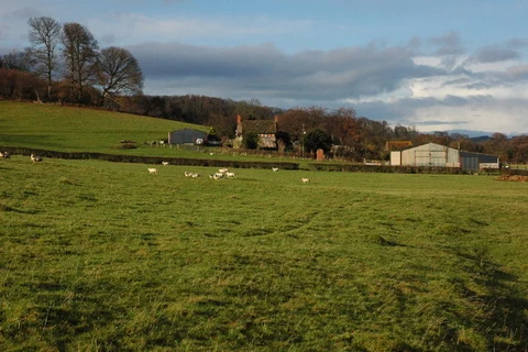 Golden Valley Herefordshire
