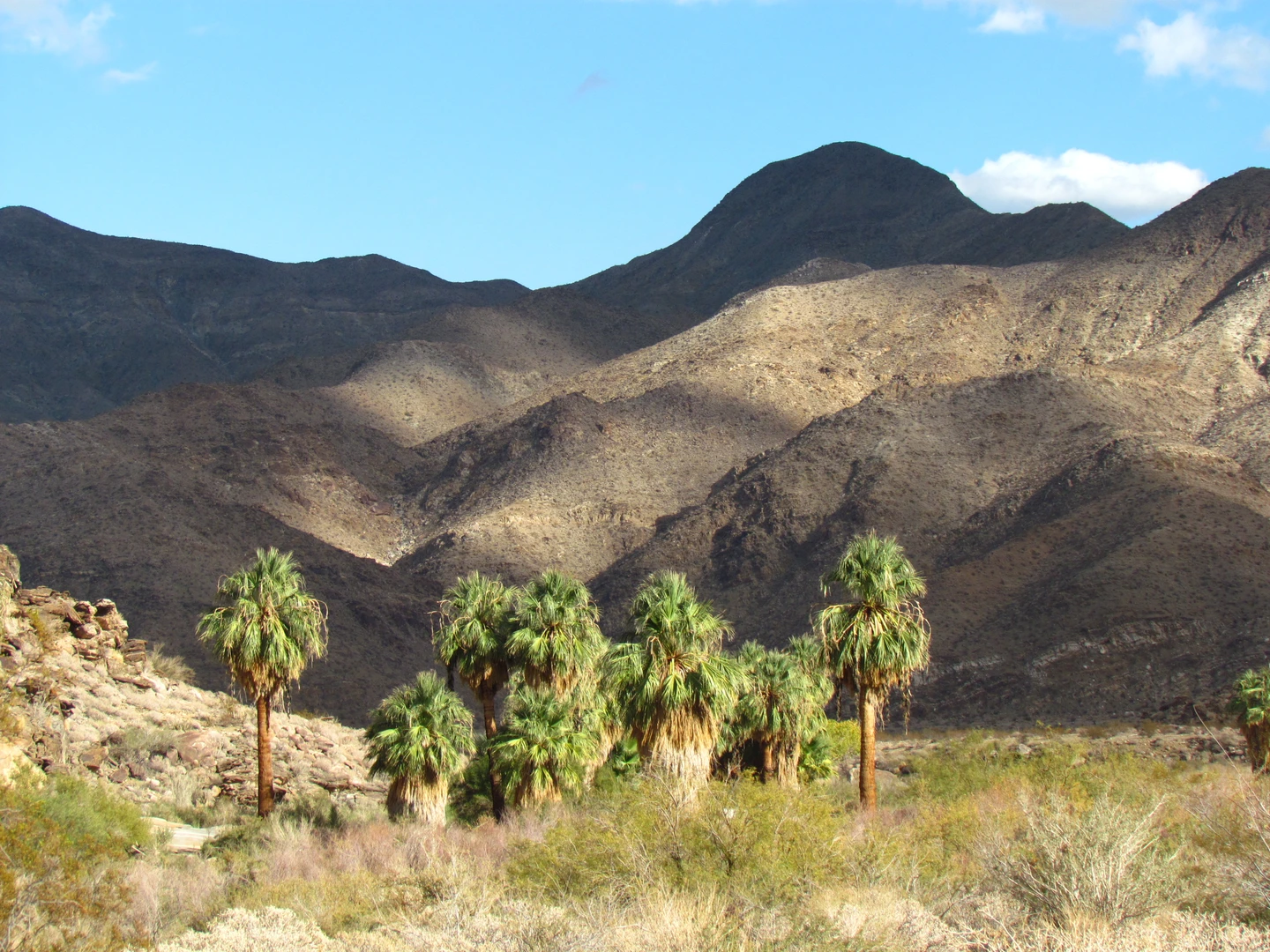 An image depicting the trail Murray Hill via Garstin Trail and its surrounding area.