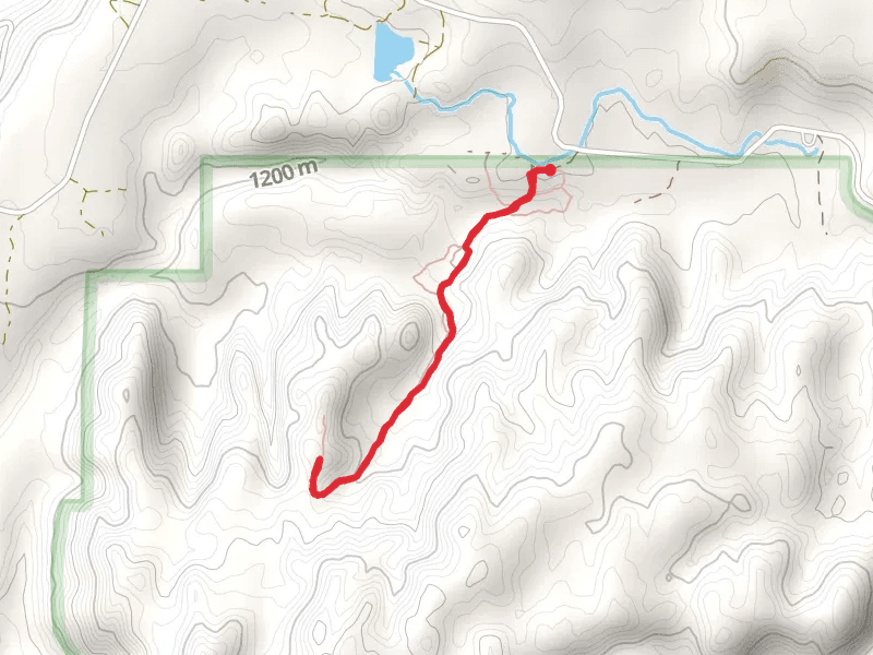 Vortex Trail