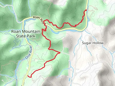Forest Road Trail