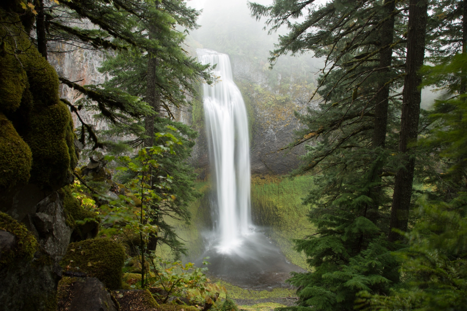 An image depicting the trail Diamond Creek Falls Trail and its surrounding area.