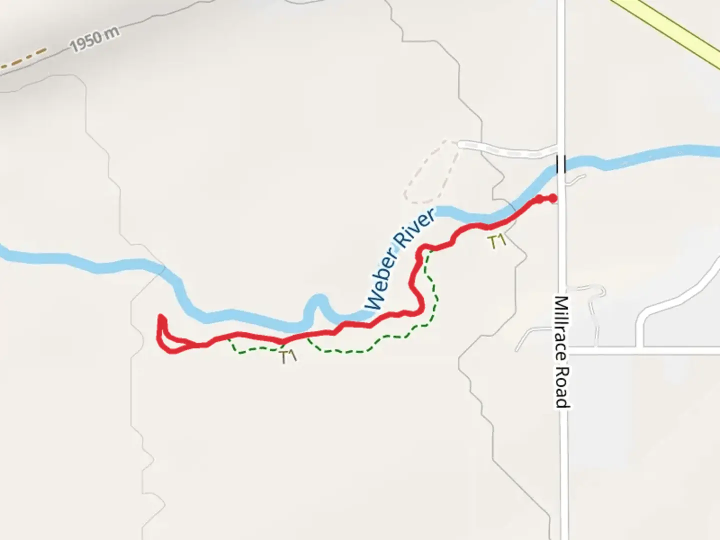 An image depicting the trail Stevens Grove Trail and its surrounding area.