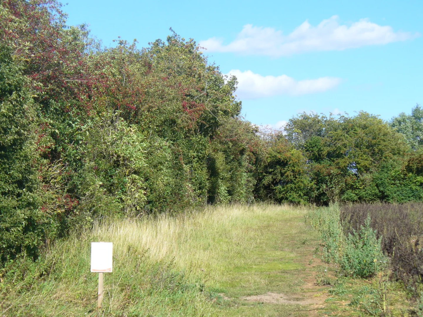 An image depicting the trail Greenhill Copse and Chadlington Loop and its surrounding area.