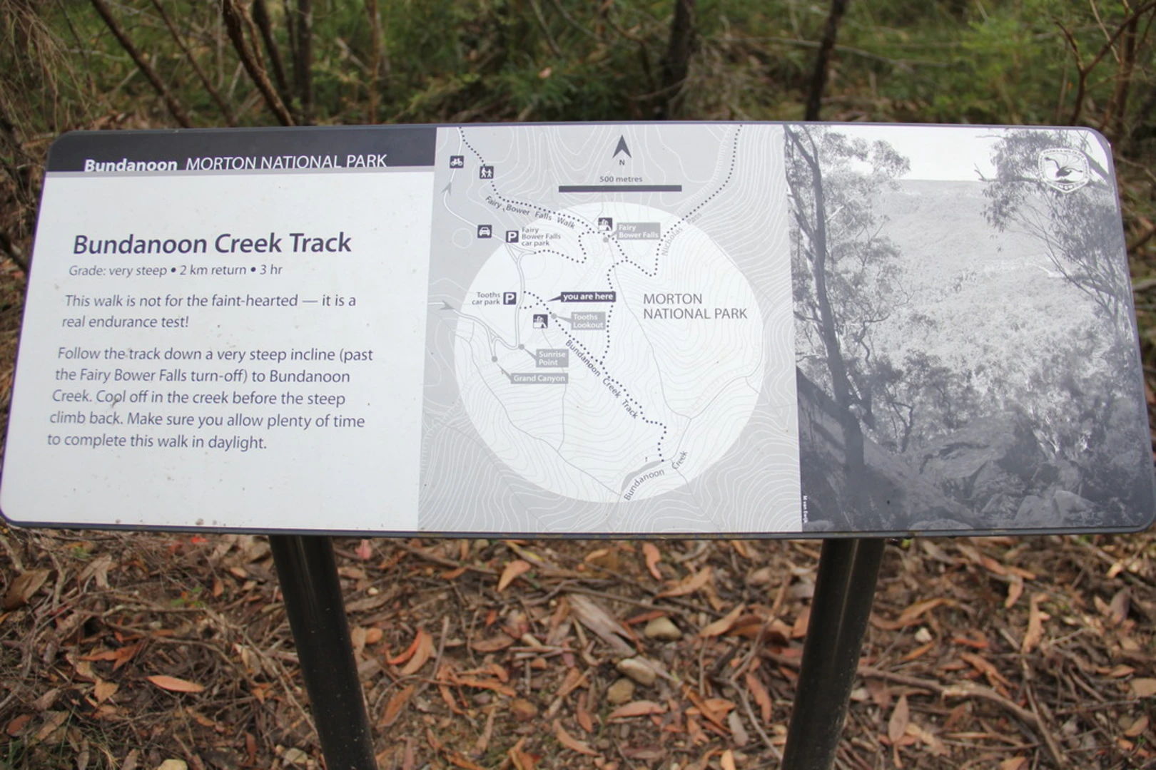 An image depicting the trail Tooth's Track to Bundanoon Creek and its surrounding area.