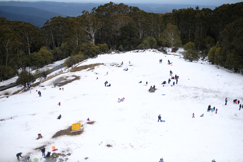 Warburton to Mt Donna Buang via Mt Victoria