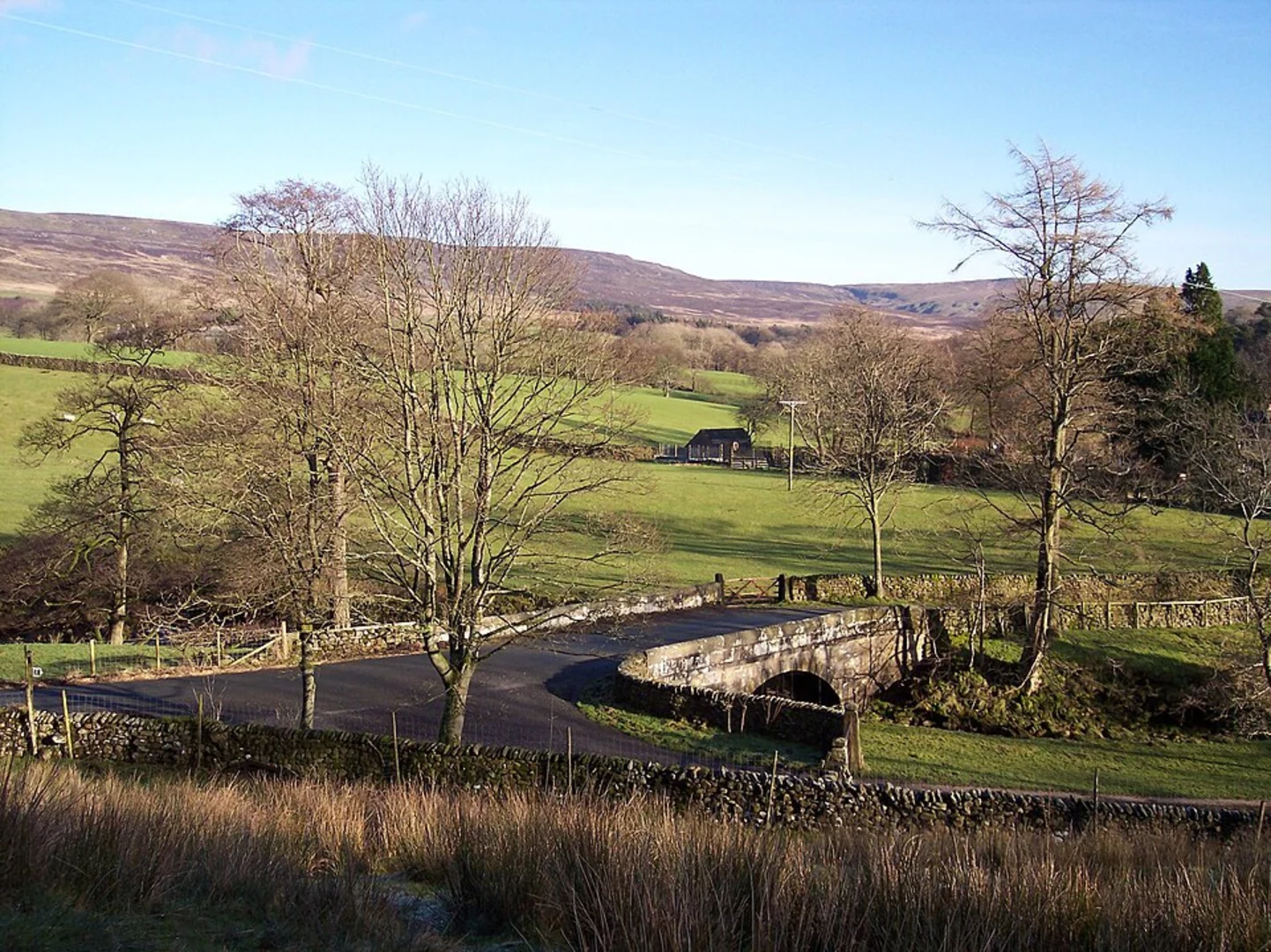 An image depicting the trail Grizedale Head Loop and its surrounding area.