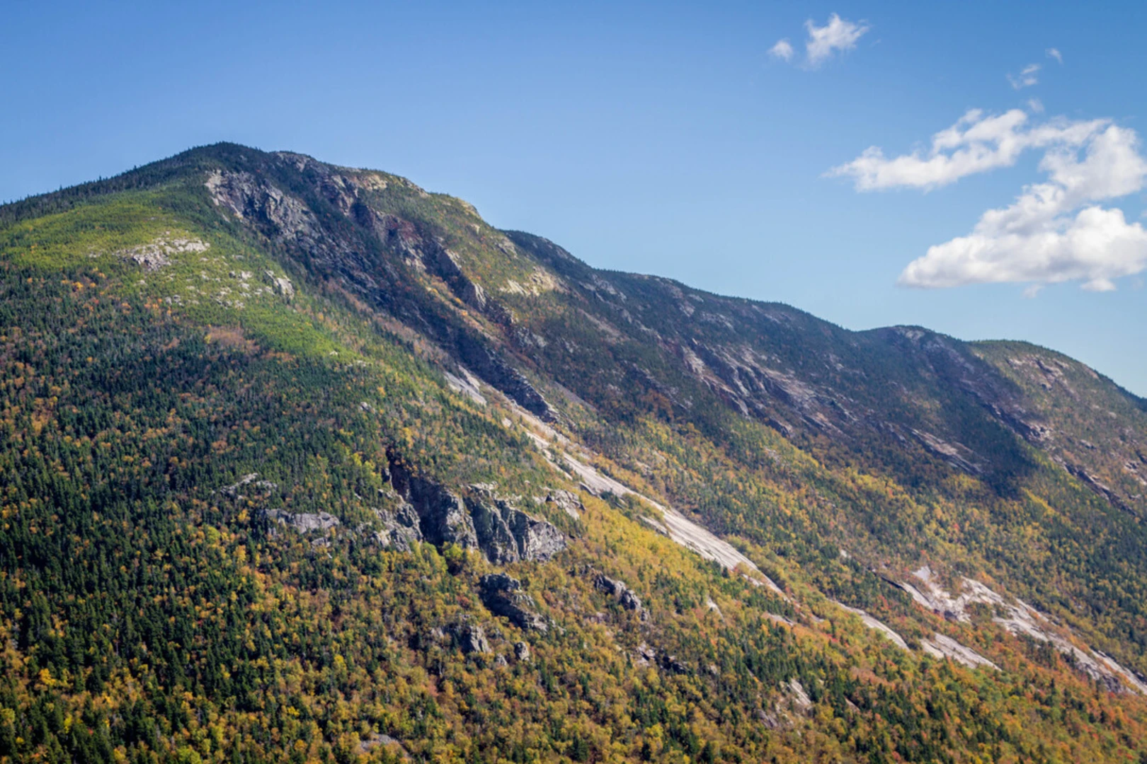 An image depicting the trail Mount Willey and Mount Tom Loop and its surrounding area.