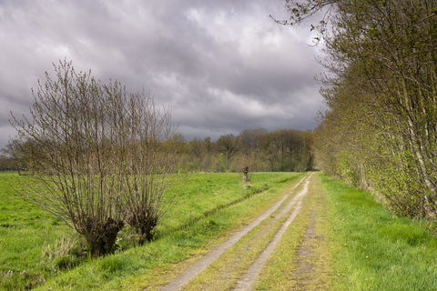 Treekerduinen and Vogewater Loop