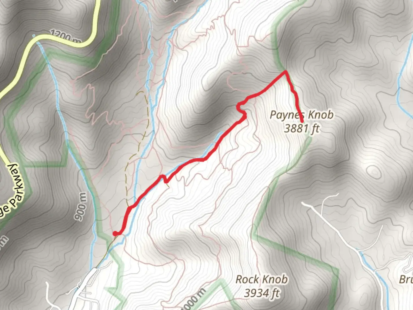 An image depicting the trail Paynes Knob Out and Back and its surrounding area.