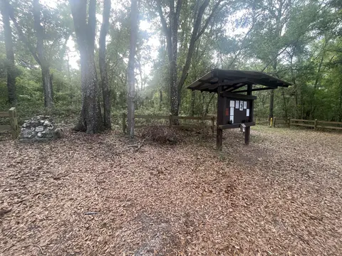 Annutteliga Hammock Loop - East
