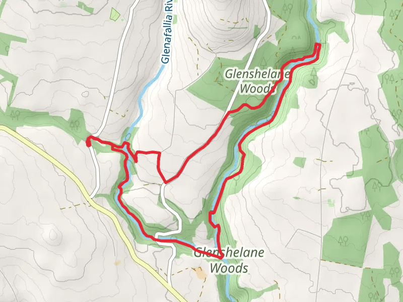 Glenshelane Forest Trail
