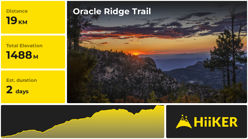 Oracle Ridge Trail | Pinal County | Arizona