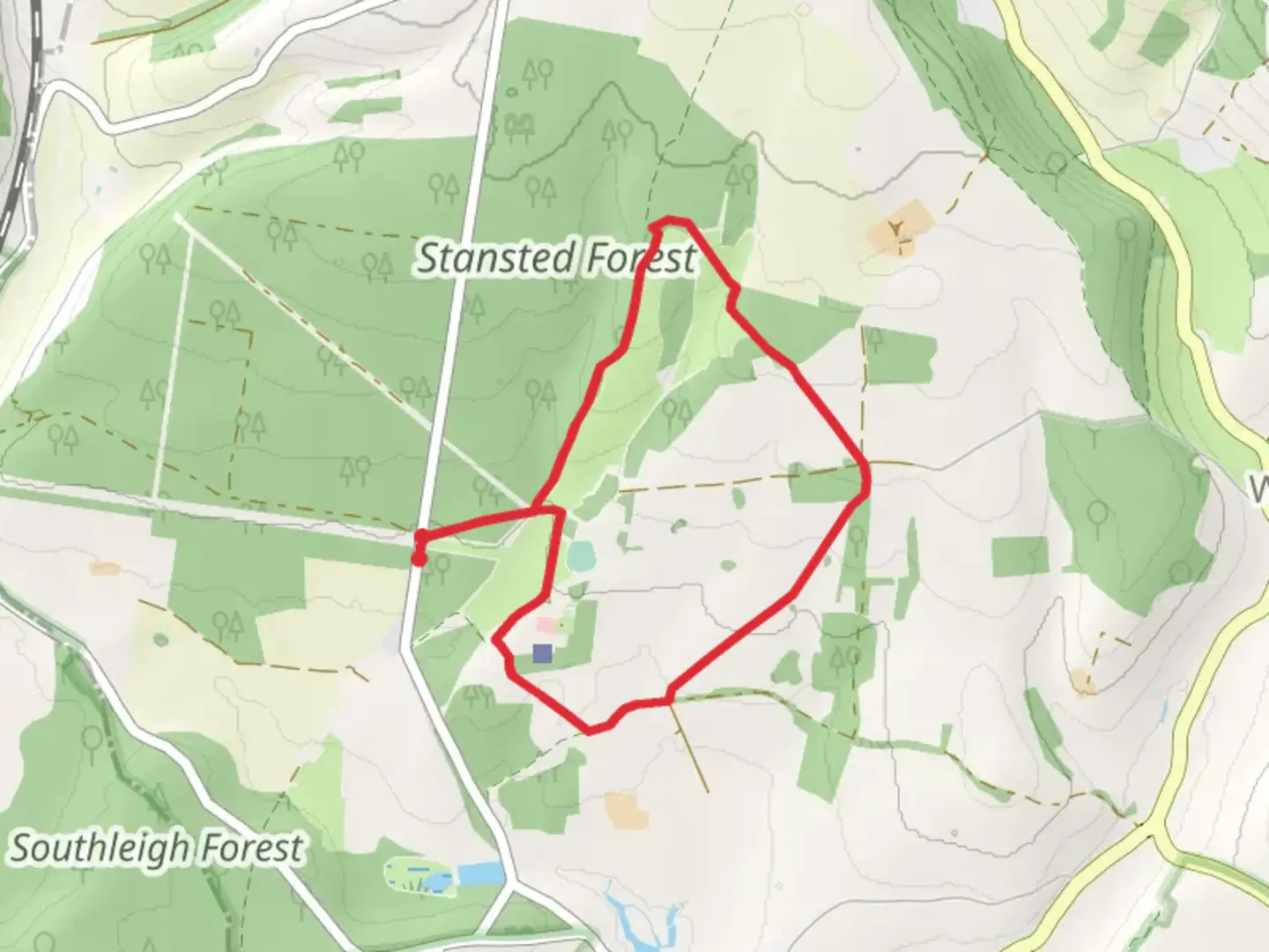 Stansted Park Short Loop | West Sussex | England