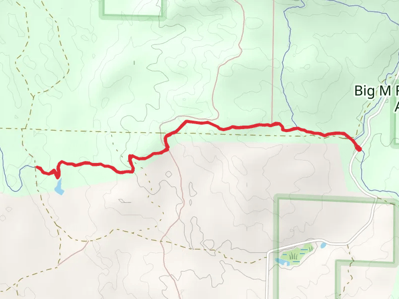 Big M - Sky Pilot Trail