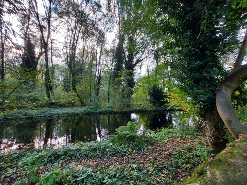 Geldermalsen to Doorn via Zandbergse Weg