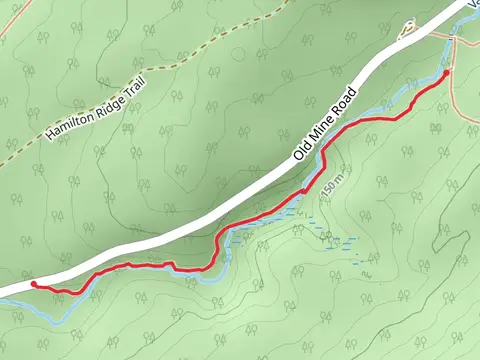 Van Campens Glen Trail - Short